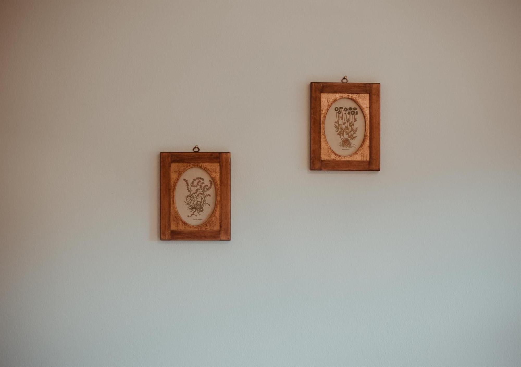 Pension Muehlbacherhof Екстериор снимка